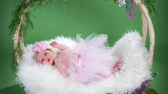 Dorotea