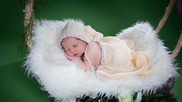 Dorotea