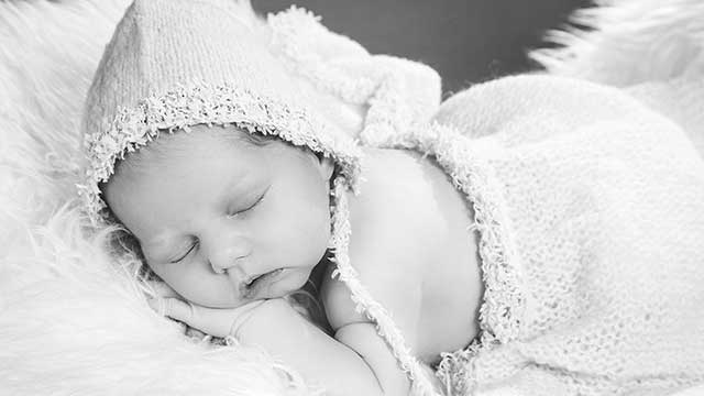 Dorotea