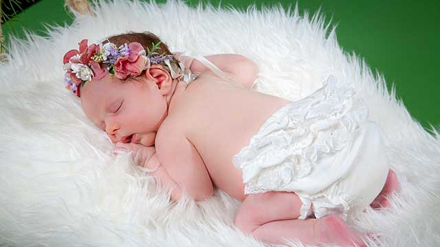 Dorotea