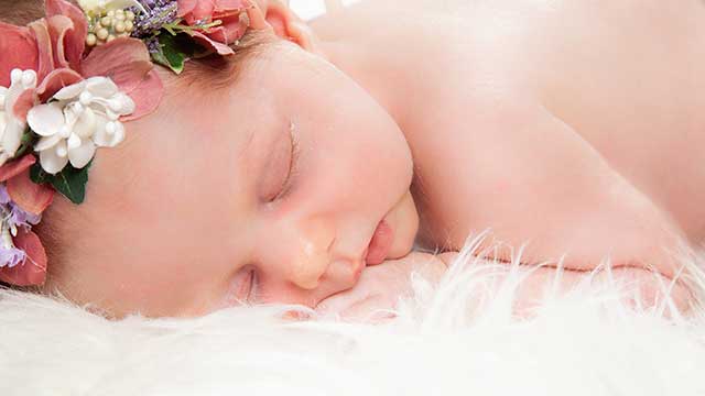 Dorotea