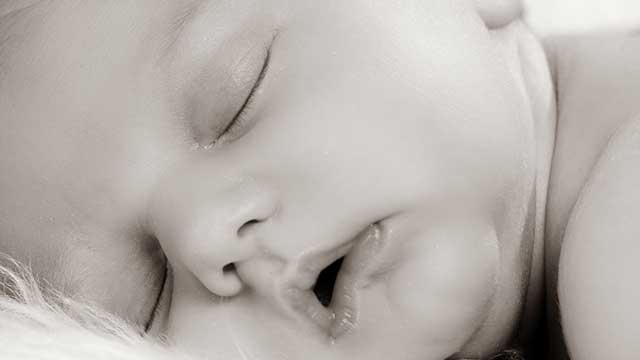 Dorotea