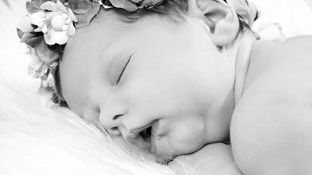 Dorotea